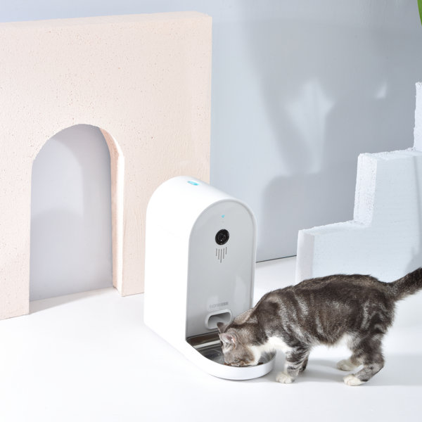 Dogness Smart Cam Automatic Feeder & Reviews Wayfair